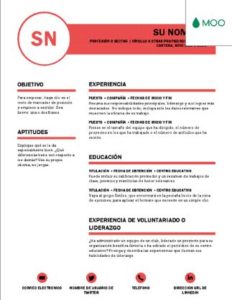 PLANTILLA CURRICULUM VITAE WORD